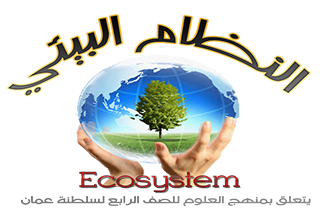 النظام البيئي