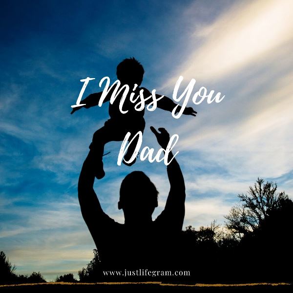 40+ Deepest Miss You Dad Quotes and Messages For Father