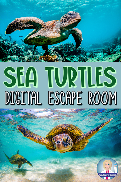 Sea Turtle Digital Escape Room