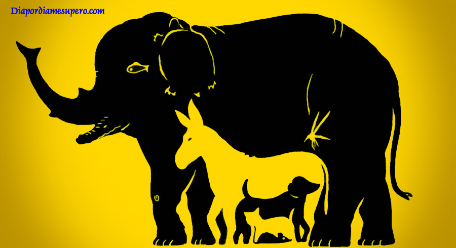Test de inteligencia: ¿Cuántos animales ves en la imagen? Test de inteligencia: ¿Cuántos animales ves en la imagen?