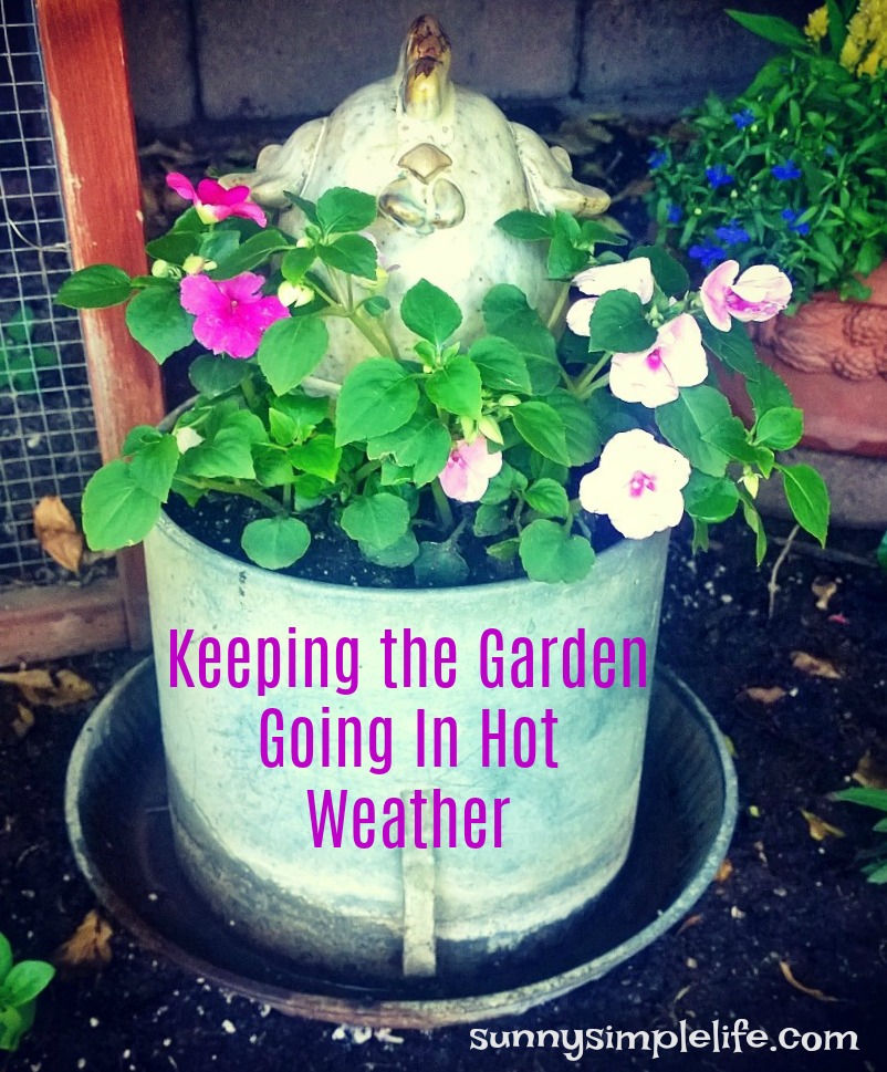 Sunny Simple Life Last Spring Garden Tour Keeping Garden Alive In