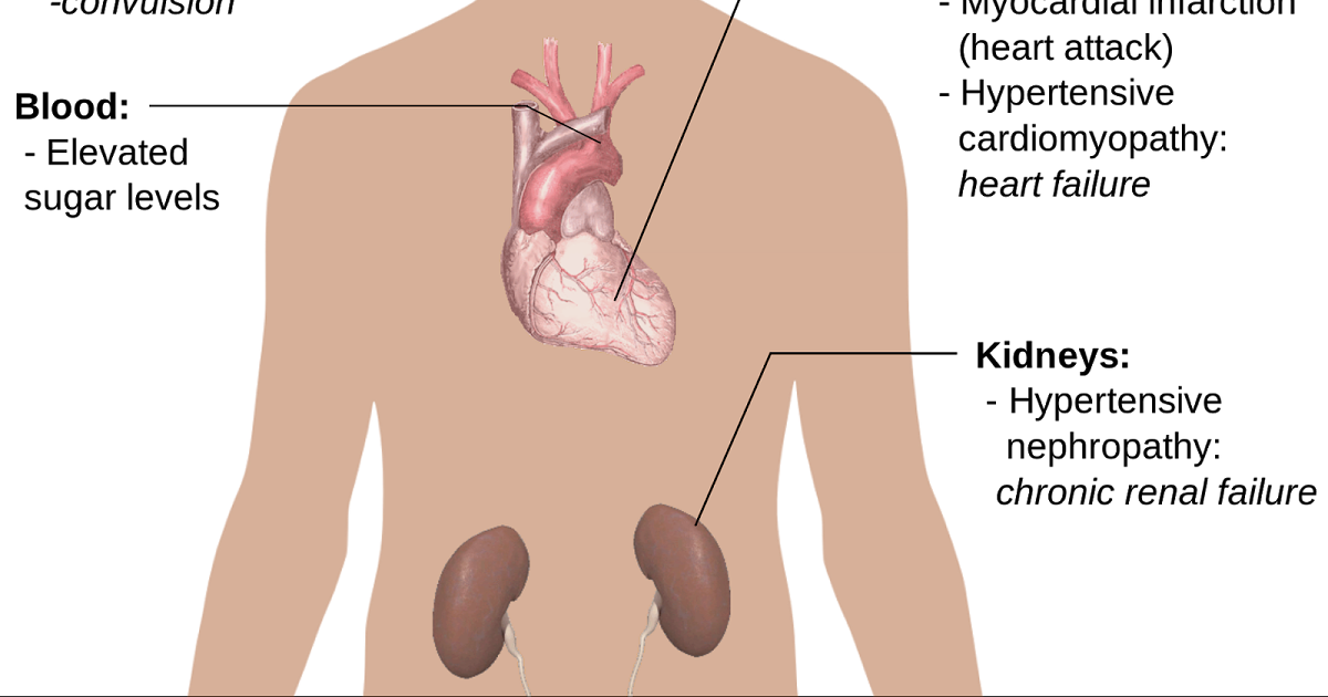 Hypertension What are the types of hypertension?