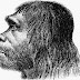 Преди 158 години неандерталецът е "представен" пред широката публика