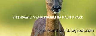 news,kihaya,swahili introductions,learn kiswahili,akili na mimi,ubongo kids,mama ndege,ekihaya,hadithi,kujitambulisha,sauti,ebikoikyo,emigani,bwenge,uf,masikini punda,learn swahili,nyimbo za kiswahili,poor donkey kids song in swahili,kreative generation,churchill show,dan ndambuki,mwalimchurchilu kingangi,comedy drama,funny,kids festival,sande yesu,nyimbo za watoto,daily nation breaking news,africa,business,sports,blogs,photos