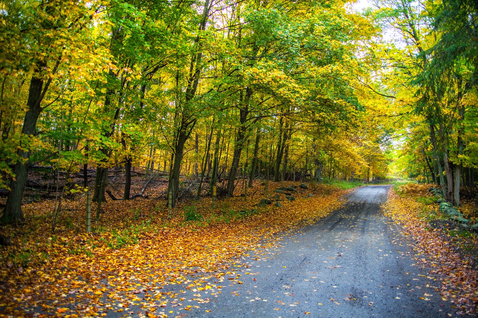 Where Is The Most Beautiful Place To Visit?