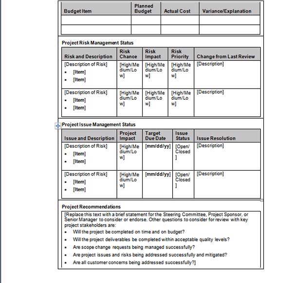 project status report template word