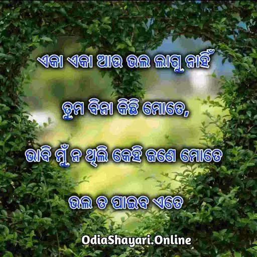 odia-shayari-photo odia-shayari-photo