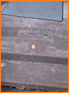 Half eaten apple sitting in the center of the cement porch step.