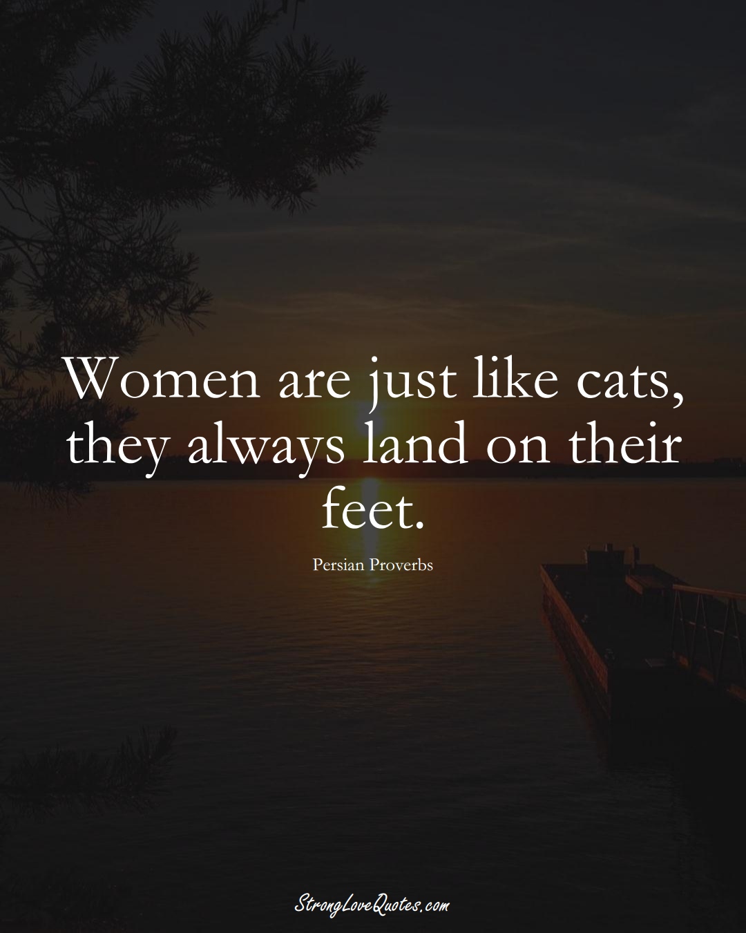 Women are just like cats, they always land on their feet. (Persian Sayings);  #aVarietyofCulturesSayings