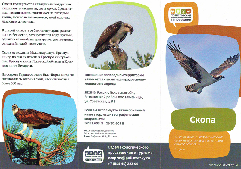 Красная книга псковской области проект