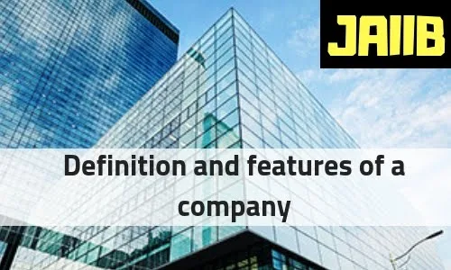 Definition and features of a company 