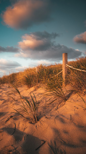 Wallpaper Beach, sand, grass, fence, clouds Wallpaper Beach, sand, grass, fence, clouds