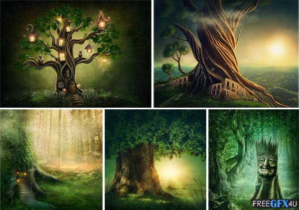Enchanted Dark Forest 11 Background Free Download Enchanted Dark Forest 11 Background