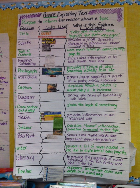 Homework help english expository nonfiction 08 picture