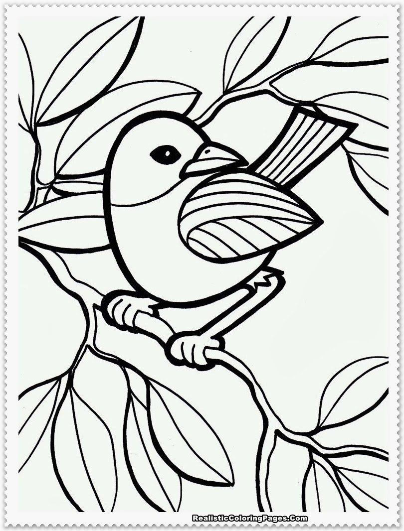 Bird Coloring Pages Realistic | Realistic Coloring Pages