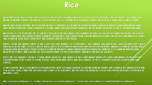 PARAGRAPH, COMPOSITION, ESSAY: Rice #BESTEDUCATIONPAGE