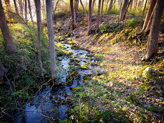 Stream on the McDade Trail