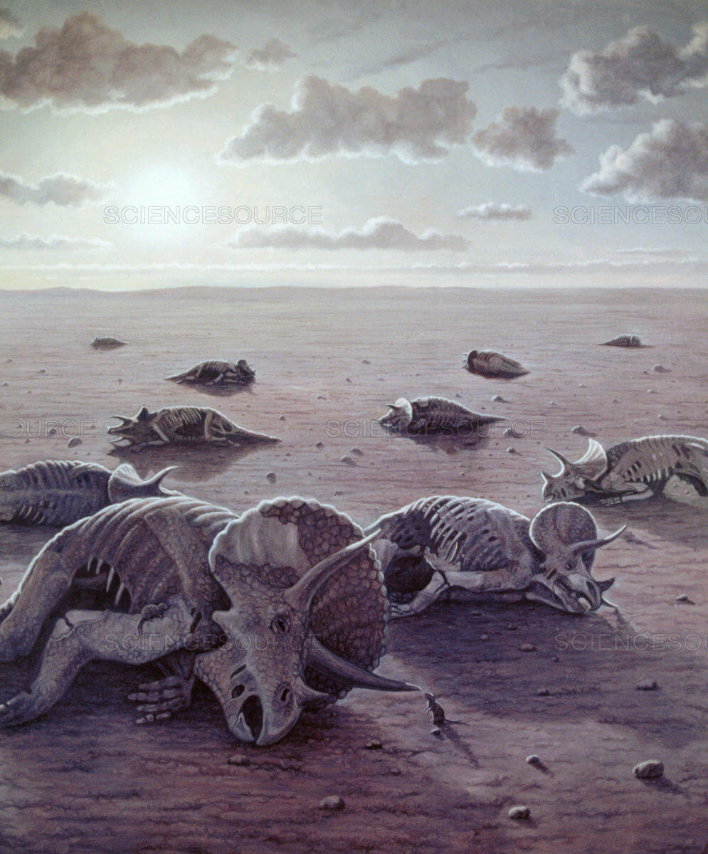 400 млн лет назад какая. Меловой период вымирание динозавров. Вымирание динозавров Эра. Мел-Палеогеновое вымирание Эра. Вымирание динозавров Эра и период.