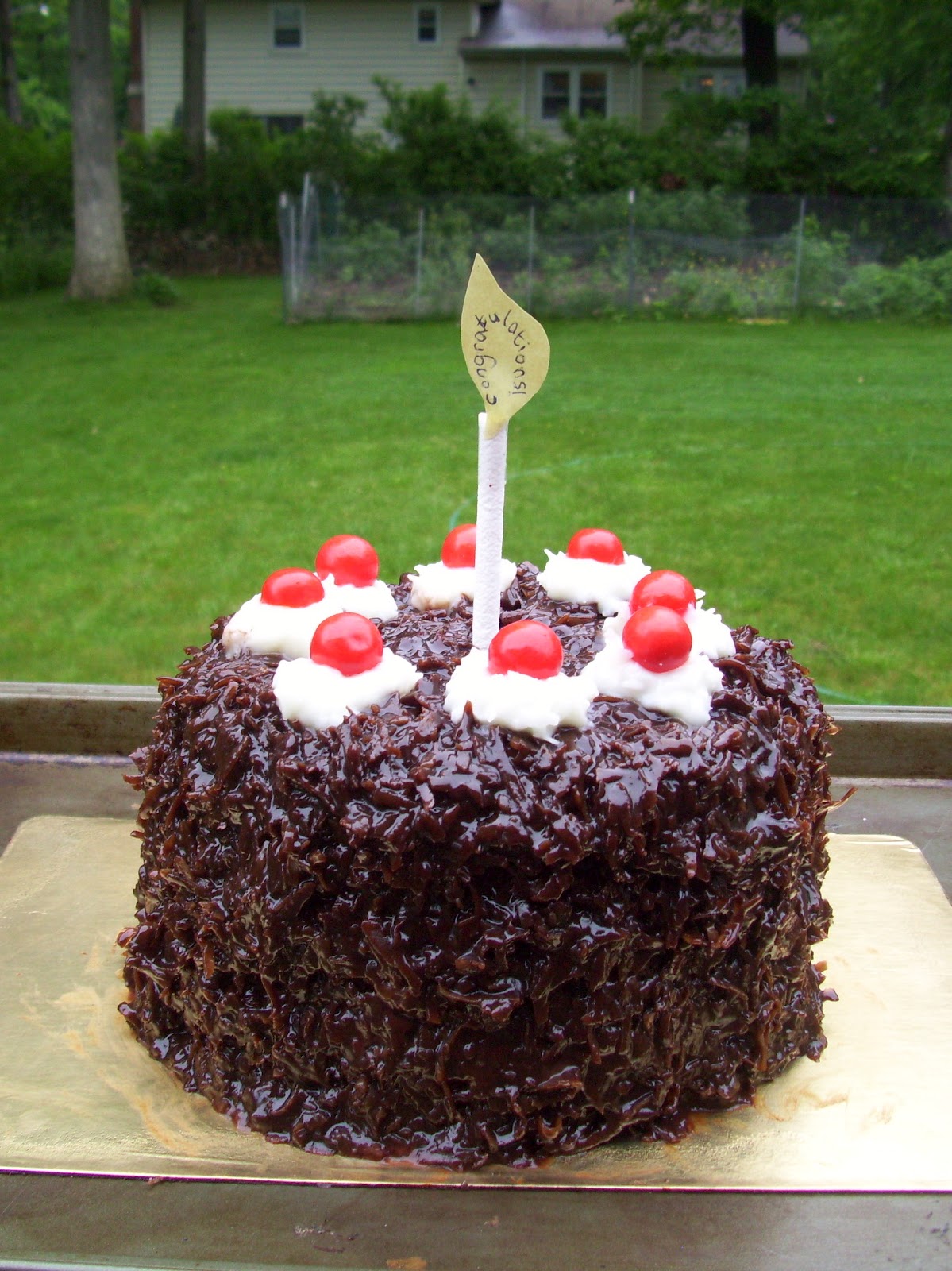 Food Blog Portal Cake!