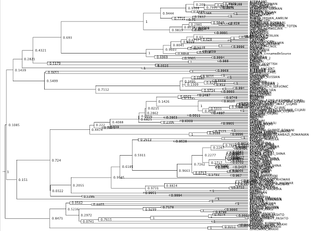 A Global Tree of Languages