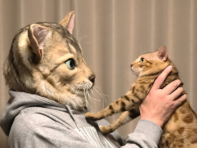 Cómo hablar en idioma gatuno