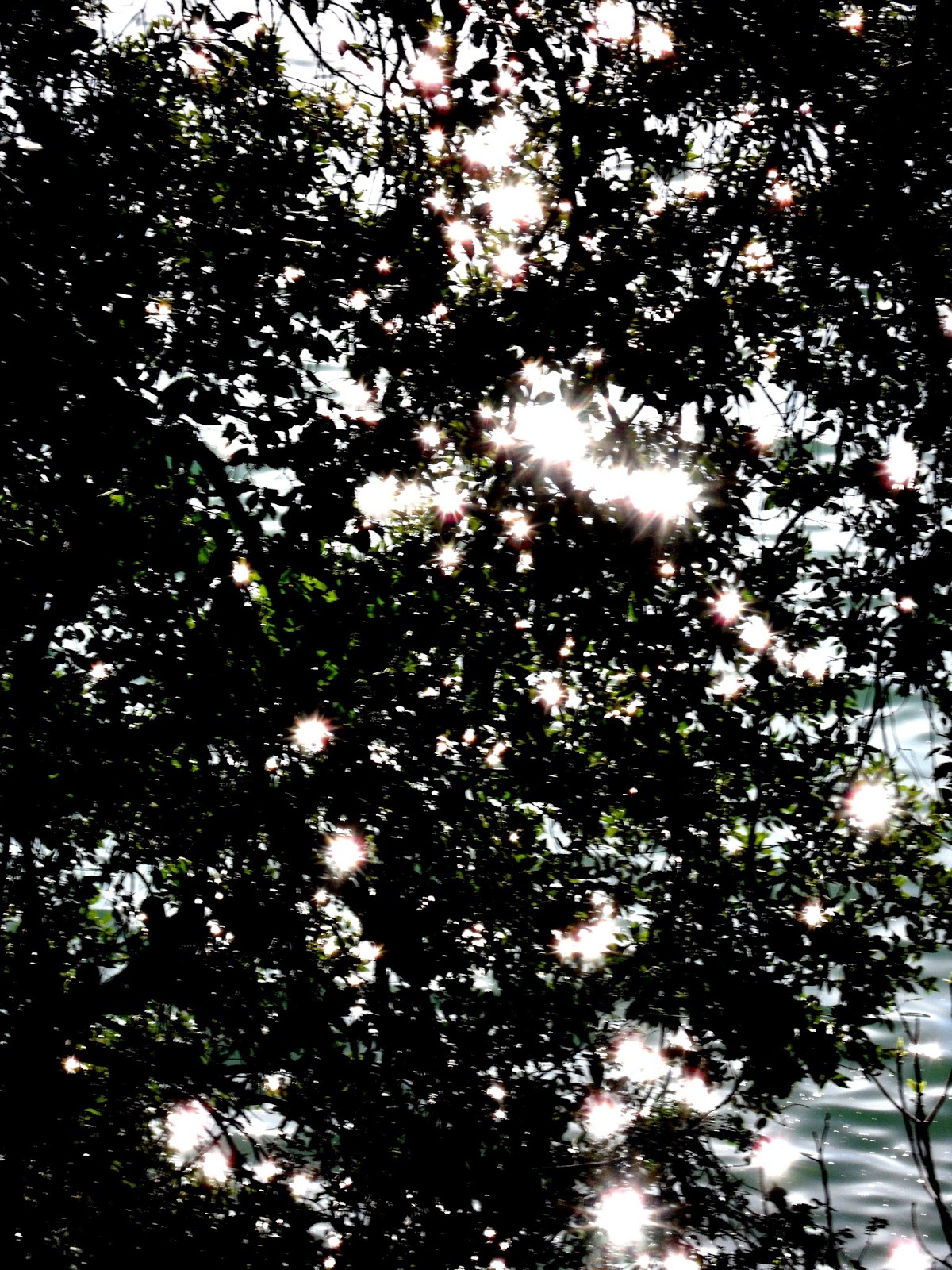 In Visibile Merletto Di Luce