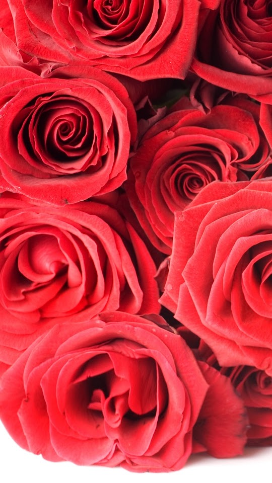 Roses Bouquet Galaxy Note HD Wallpaper