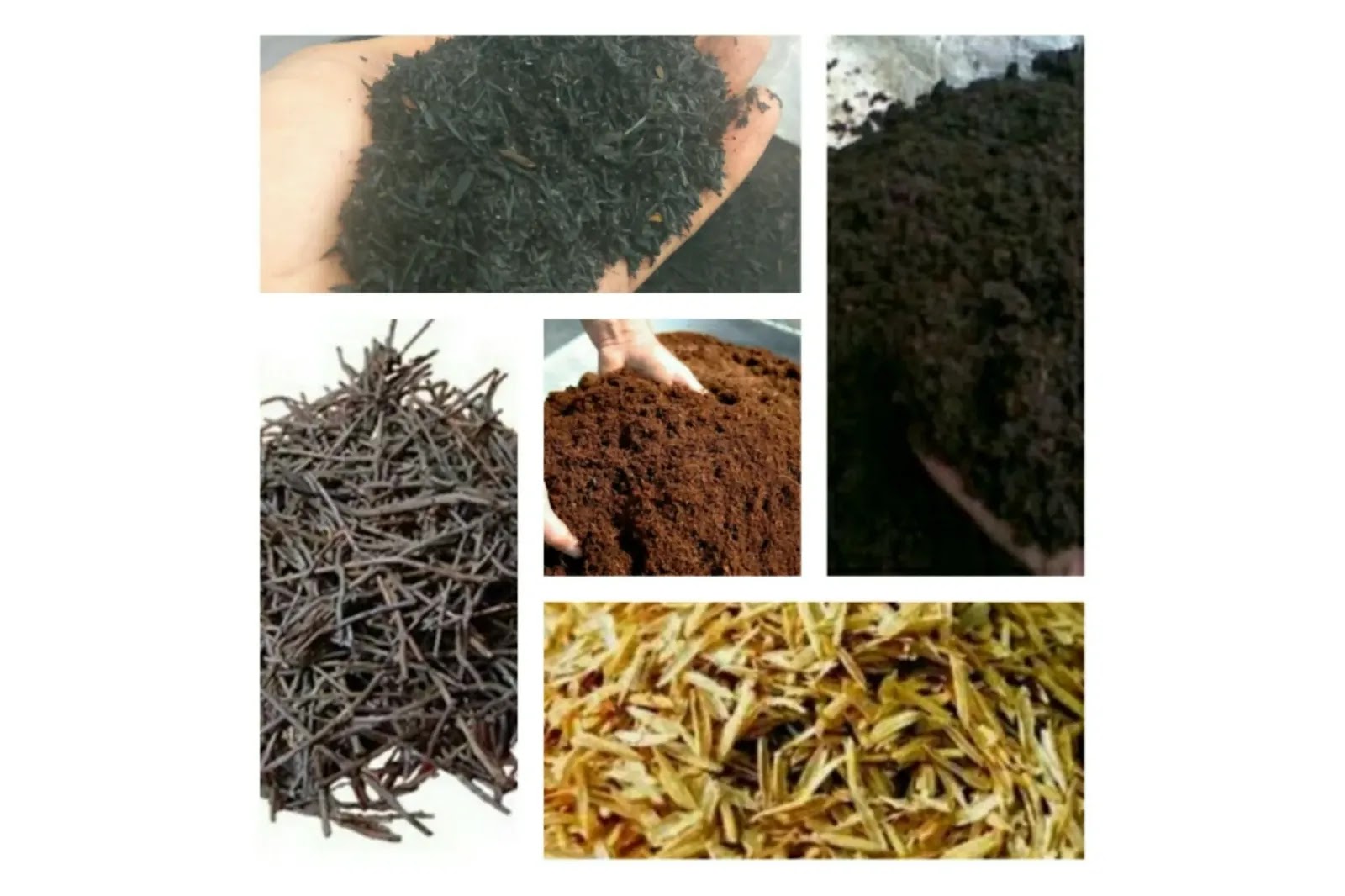 img src media tanam bermutu