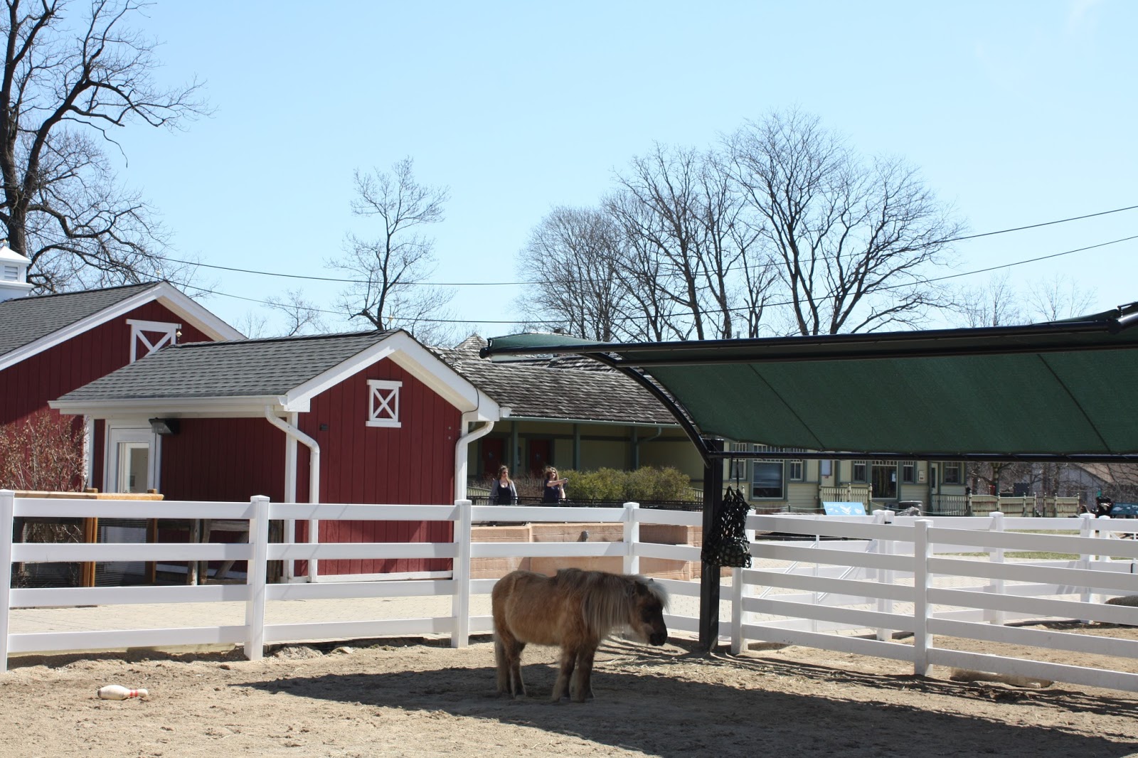 A Little Time and a Keyboard Cosley Zoo in Wheaton, IL