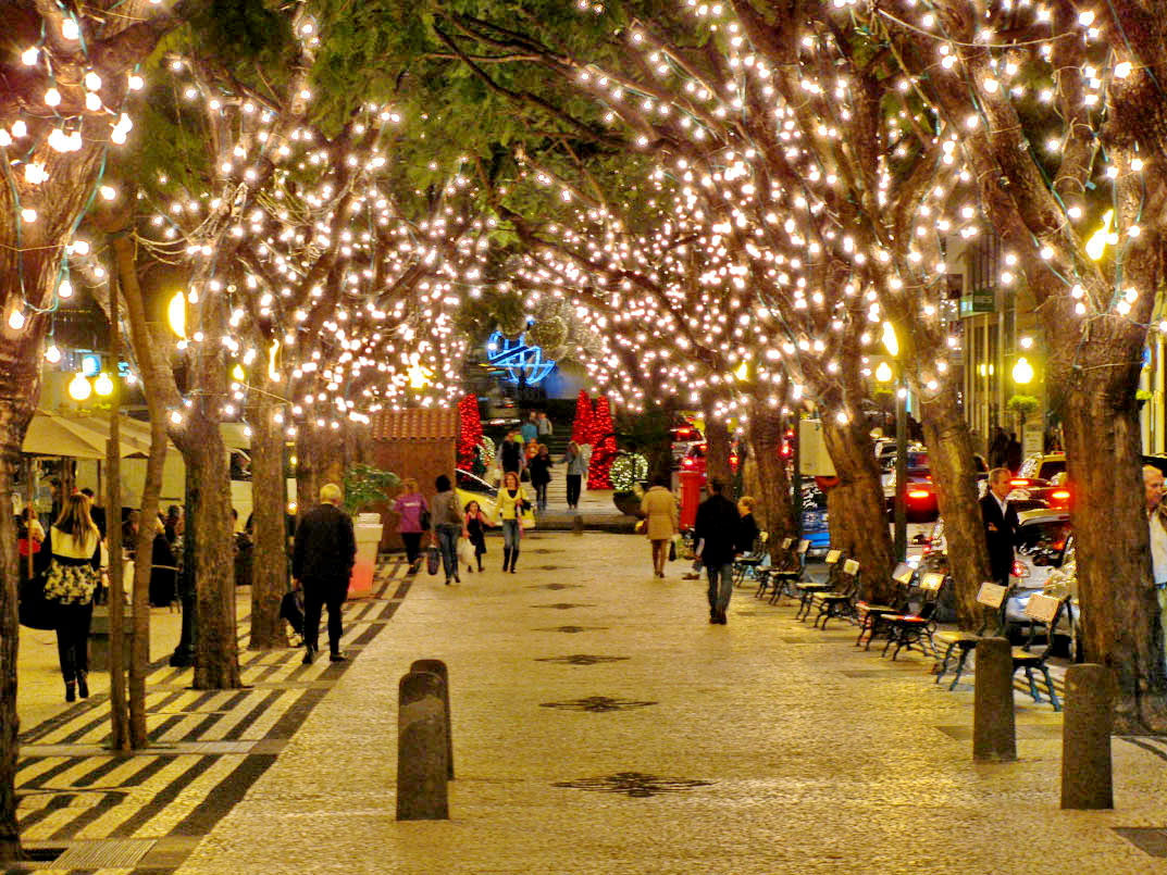 Christmas lights Funchal Daily Photo