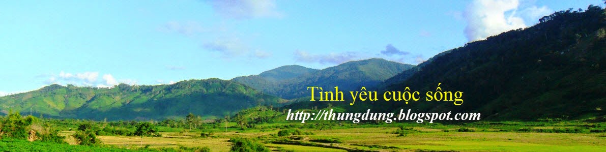 Tình yêu cuộc sống 