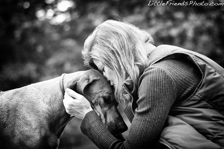 Little Friends Photo: Kona the Ridgeback - New York City