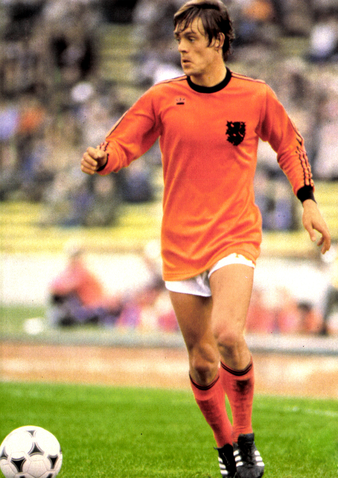 BIO EXPRESS DEGRADABLE. Johnny Rep.