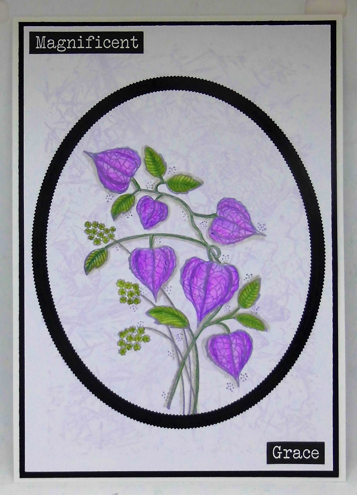 Sarah's Craft Shed Pastel Chinese Lanterns