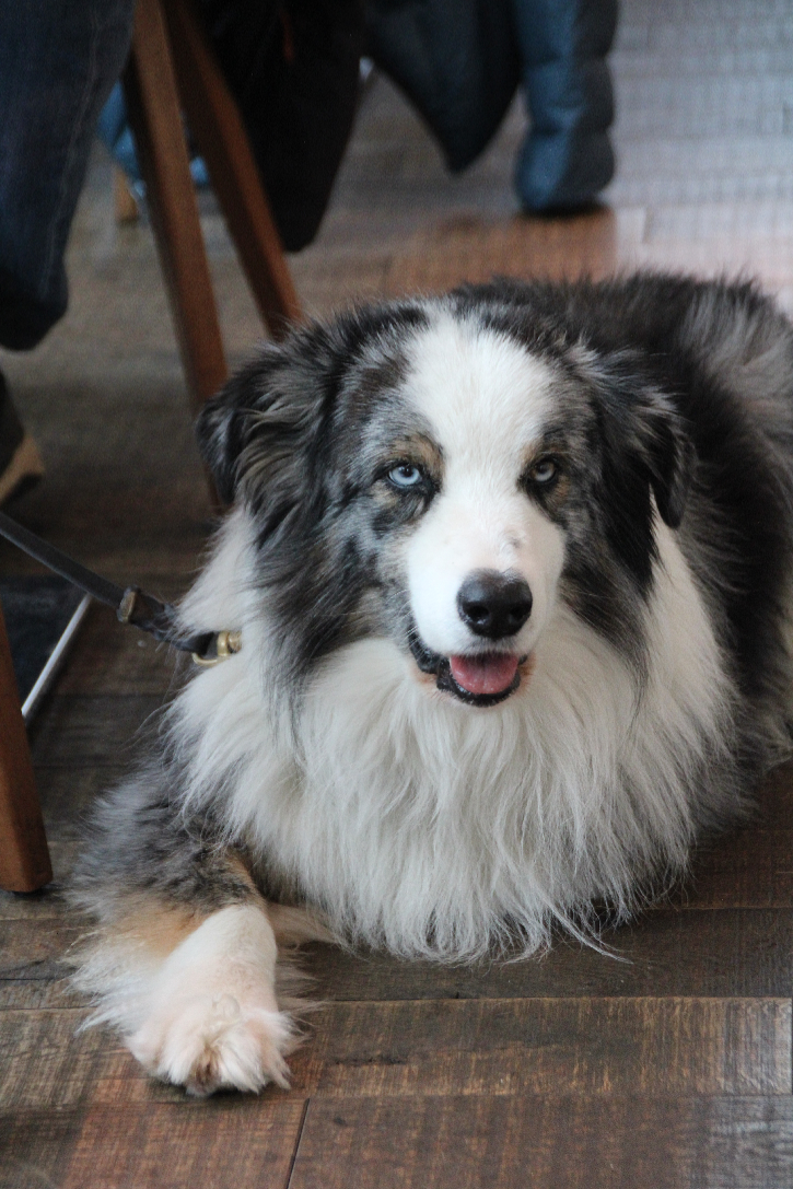 Mit dem Rad zur Apfelkönigin von Peter Lenk und die Große Telekie