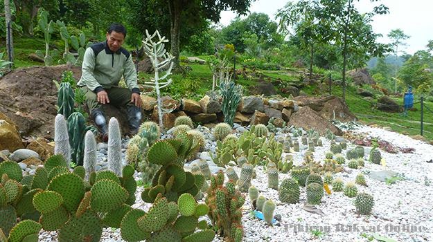 Kebun Raya Kuningan (KRK) di bawah lereng Gunung Ciremai dibuka untuk