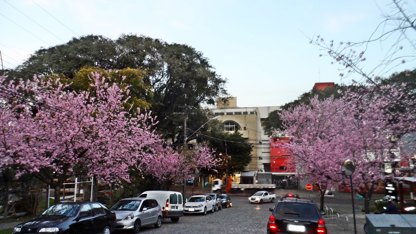 AlcBlog ''Rua das Cerejeiras'', Curitiba...