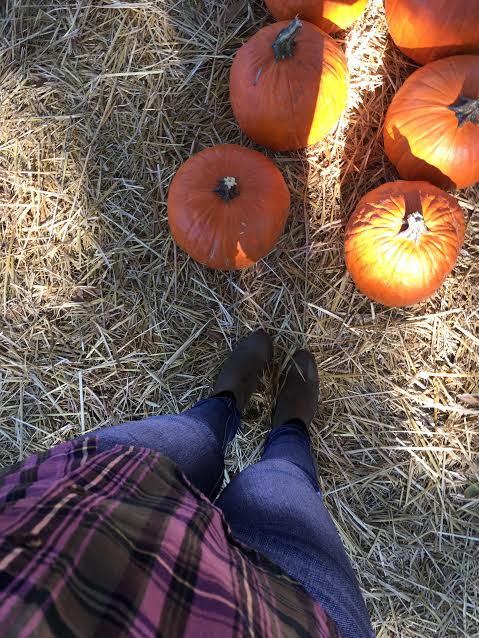 Juliana Grace Blog Space: Pumpkin Picking!