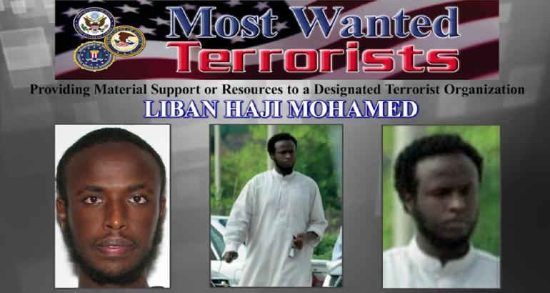 5 Incredible Interpol Red Notice Removal & Protection Examples