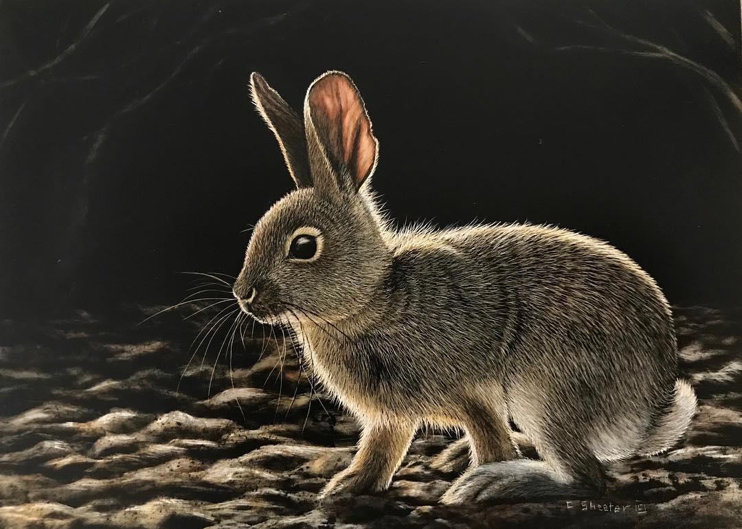 Design Stack A Blog about Art, Design and Architecture Wildlife