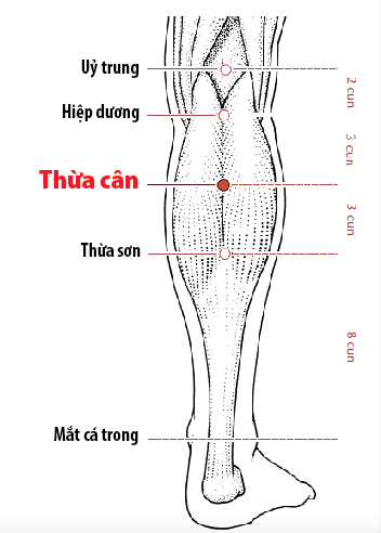 Vị trí huyệt thừa sơn