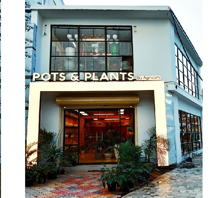 Pots & Plants by Grass In Kochi/garden accessories