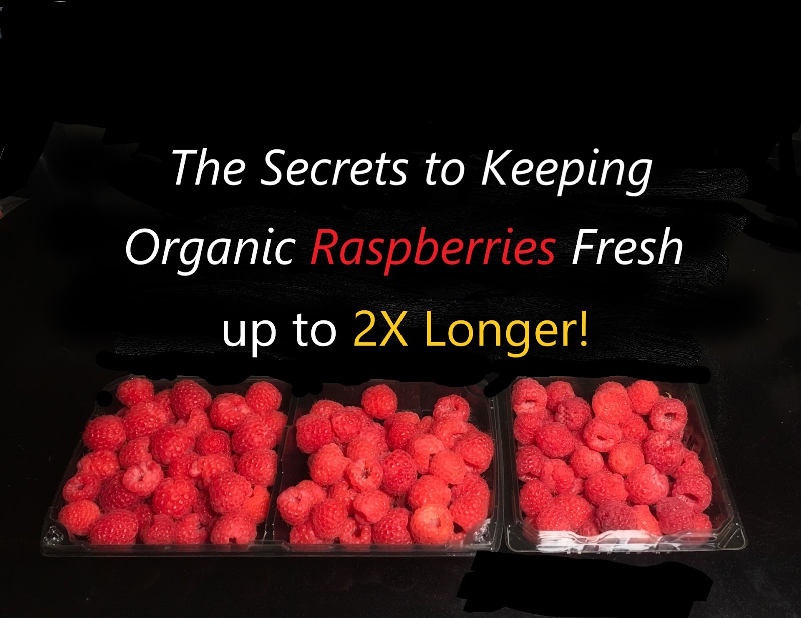 How to Prep and Store Organic Raspberries to Keep Them Fresh Longer