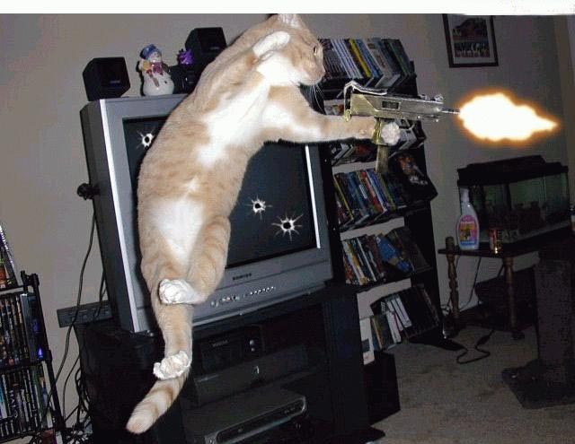 chat_matrix.jpg chat_matrix.jpg