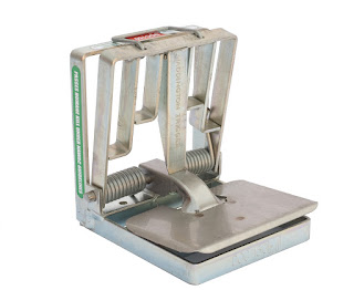 SGA latest news photo