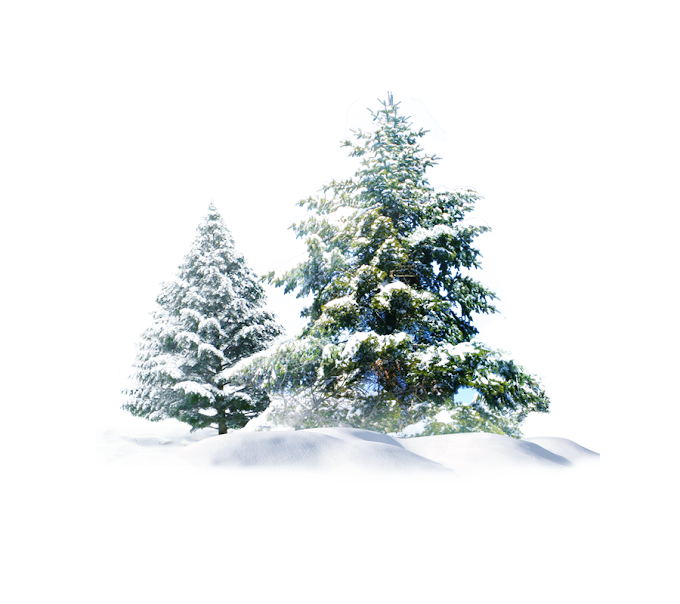 Christmas Tree with Snow free png by pngkh.com