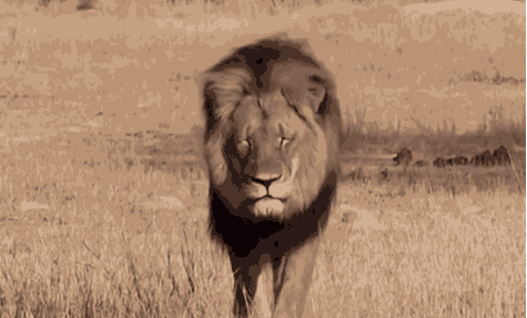 Book Sp(l)ot Reviews: May 2018