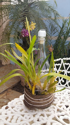Orquídea na garrafa de vidro.