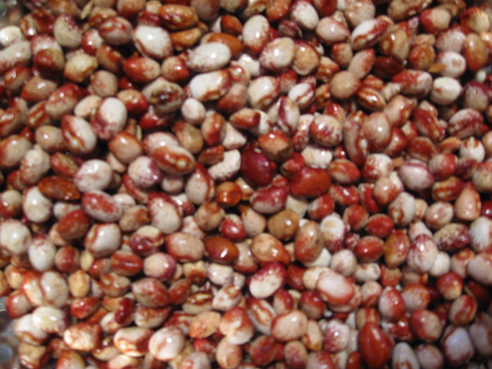 Mystery Lovers' Kitchen Mayflower Soup