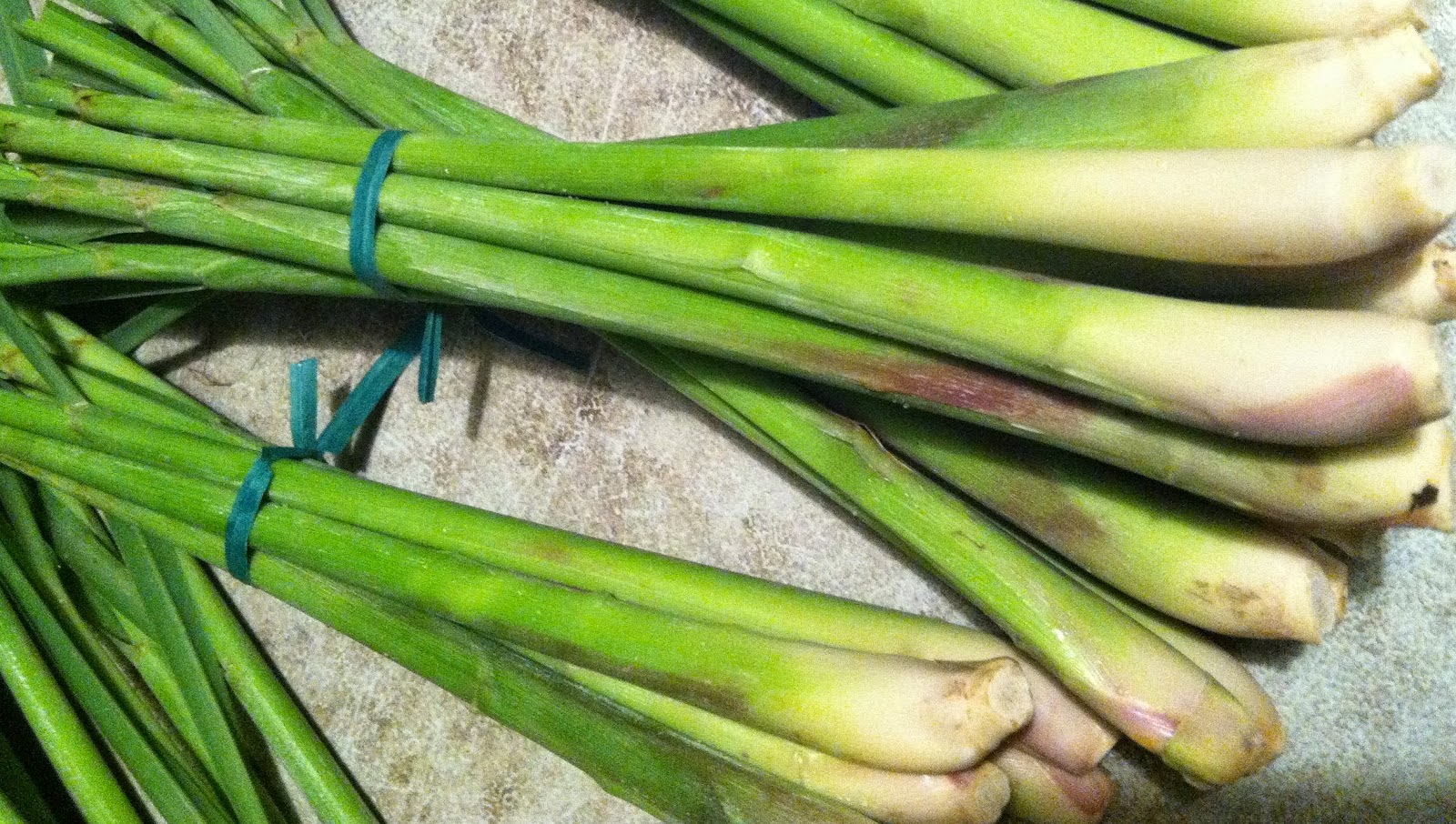 Lemon Grass or Citronella?